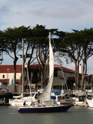 Sailboat Leaving Marina