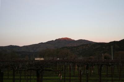 Napa Valley at Sunset