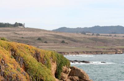 Coastline