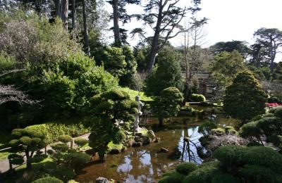 Japanese Tea Garden
