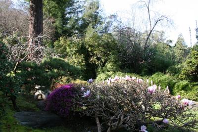 Japanese Tea Garden
