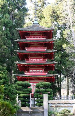 Japanese Tea Garden