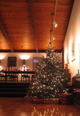 Tryon Oakes Christmas Tree
