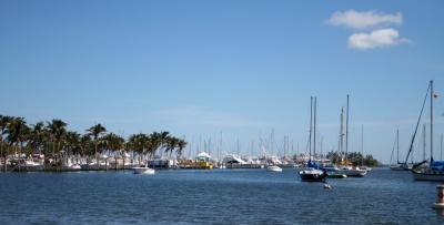 Coconut Grove Marina