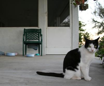 g3/17/628717/3/56526489.cat7.jpg