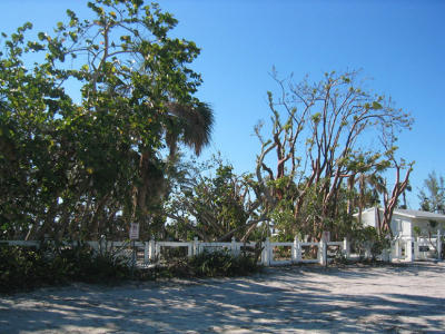 Chapin Lane Cemetary