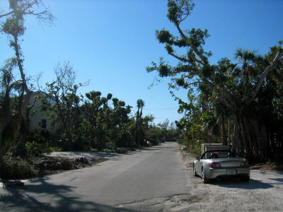 Chapin Lane Looking West