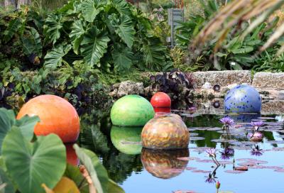 Chihuly @ Fairchild 03/06