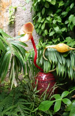 g3/17/628717/3/57192334.fairchild_pbase29_ikebana.jpg