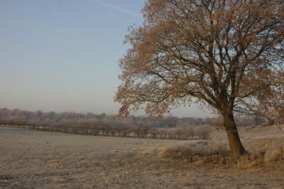 Hohe Mark