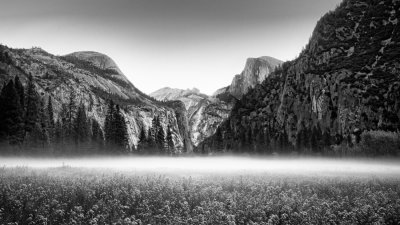 Morning Mist - Yosemite Valley