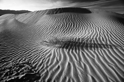 Mesquite Flats Dunes