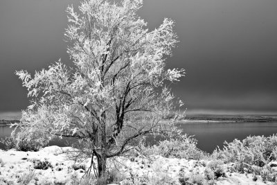 Almost Winter - Mono Lake
