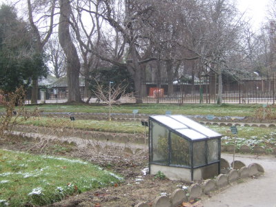 A  Jardin des Plantes - 10