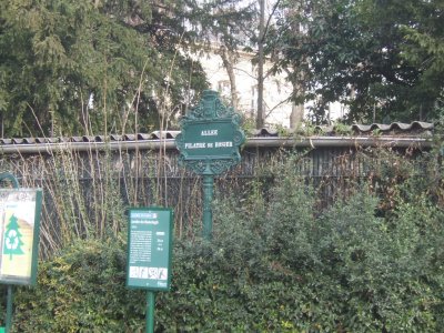 A  Jardin de Ranelagh - 3