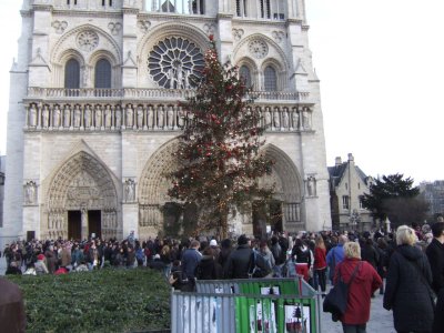 CA01 Notre Dame and Christmas Tree.JPG