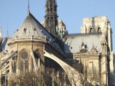 Ile de la Cite - Notre Dame Cathedral