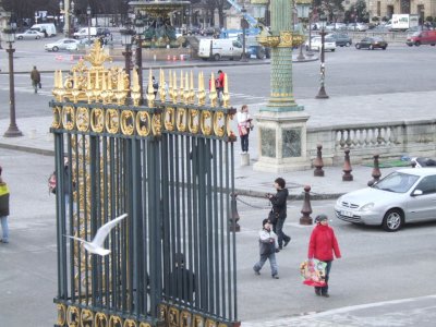 TK1 Jardin des Tuileries - Gate.JPG