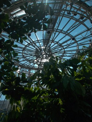 06-05.jpg
