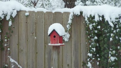 Snow in Memphis