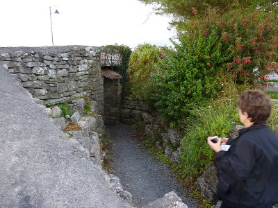P1000141.jpg
