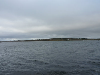 P1000288.jpg