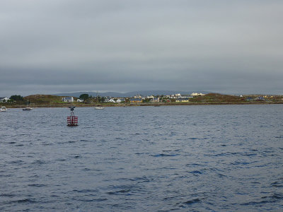 P1000295.jpg