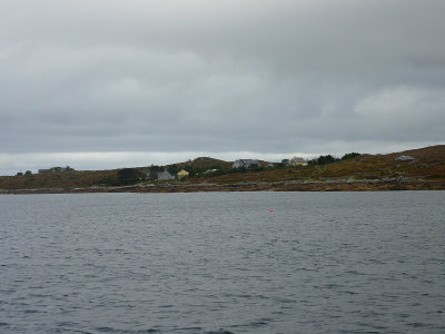 P1000297.jpg