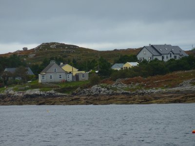 P1000299.jpg