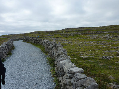 P1000323.jpg