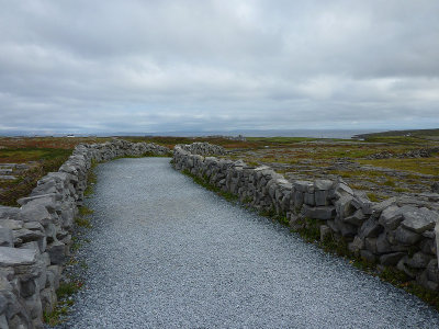 P1000325.jpg