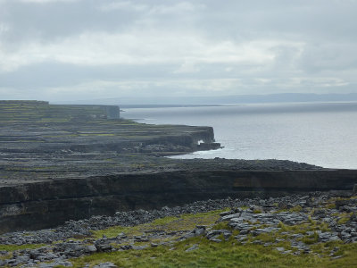P1000332.jpg
