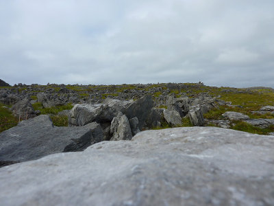 P1000334.jpg