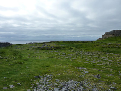 P1000336.jpg