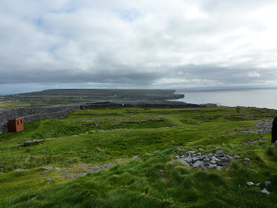 P1000343.jpg