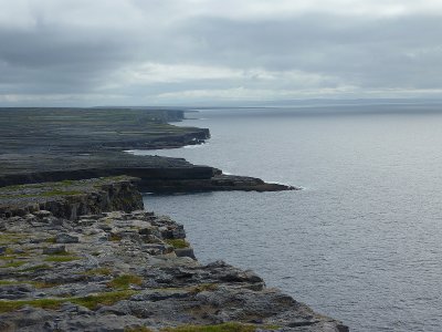 P1000348.jpg