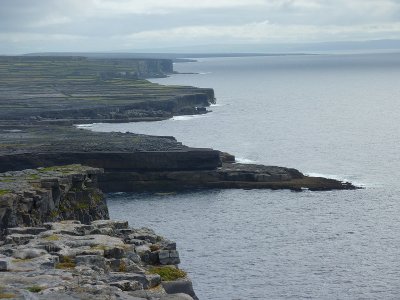 P1000349.jpg