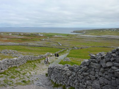 P1000364.jpg