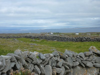 P1000367.jpg