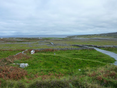 P1000369.jpg