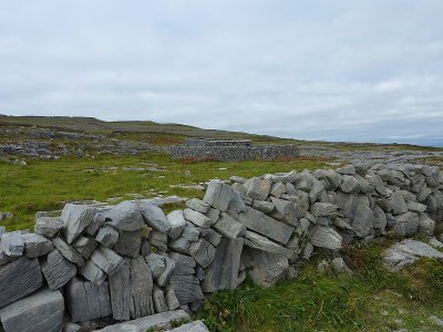 P1000371.jpg