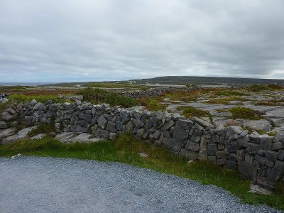 P1000375.jpg
