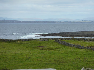 P1000398.jpg
