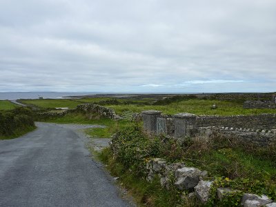 P1000400.jpg