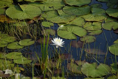 _DSC8259.jpg