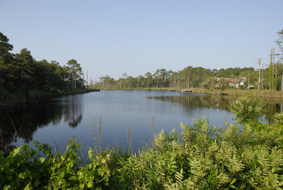 _DSC8280.jpg