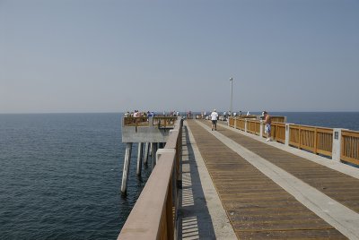_DSC8342.jpg