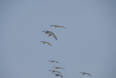 _DSC8476.jpg