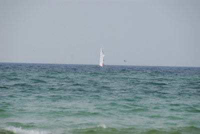 _DSC8522.jpg