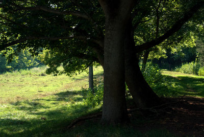 A Sylvan Retreat